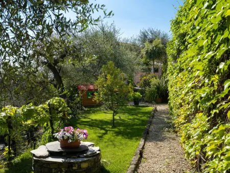 Villa Paradiso (DOL192), Maison 10 personnes à Dolcedo - Photo 9