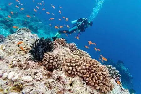 Appartement moderne à Vieux-Habitants, 80 m², terrasse - Photo 16
