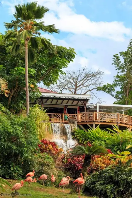 Appartement moderne à Vieux-Habitants, 80 m², terrasse - Photo 17