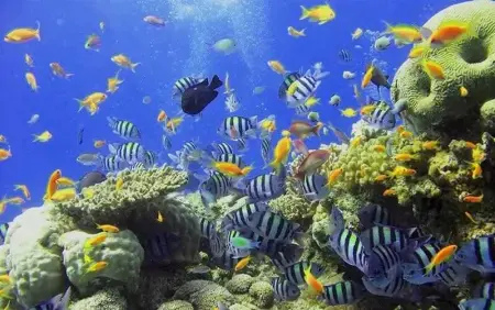 Appartement moderne à Vieux-Habitants, 80 m², terrasse - Photo 18