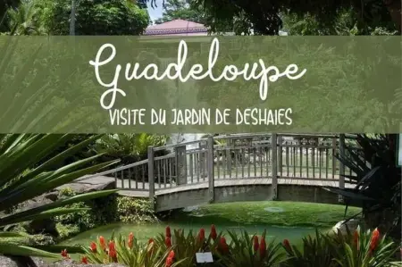 Appartement moderne à Vieux-Habitants, 80 m², terrasse - Photo 20