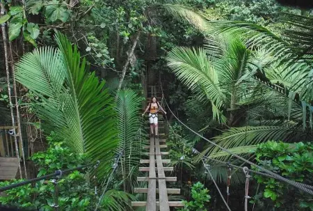 Appartement moderne à Vieux-Habitants, 80 m², terrasse - Photo 23