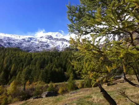 Mikado, Appartement 4 personnes à Saas Fee - Photo 10
