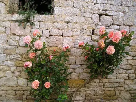 Maison élégante à Fontenay-sur-Mer avec cheminée - Photo 7
