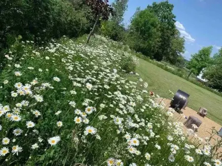 Maison avec jacuzzi à Gouvy / 80 m², Maison 2 personnes à Beho, Gouvy - Photo 12