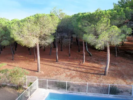 Les Pins Parasols, Appartement 4 personnes à Argelès sur Mer - Photo 15