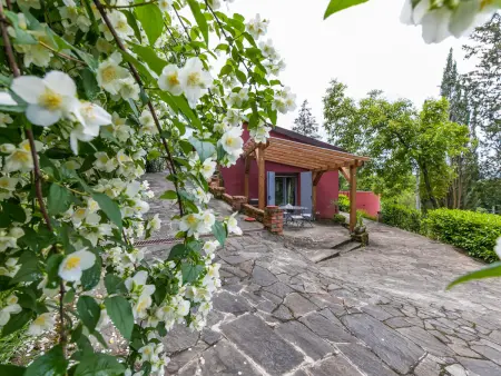 L'Orlo del Bosco, Gite 5 personnes à Bucine - Photo 19