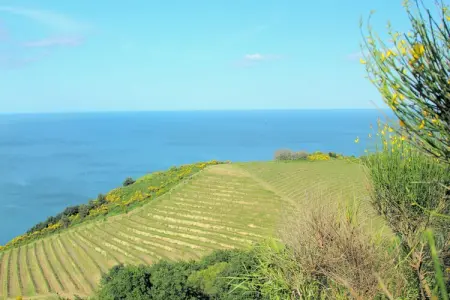 Villa Barchetta, Séjour de luxe avec jardin - Photo 34