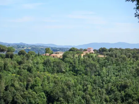 Il Felciaione, Appartement 8 personnes à Riparbella - Photo 24