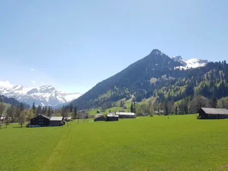 Farfalla, Appartement 4 personnes à Gstaad - Photo 4