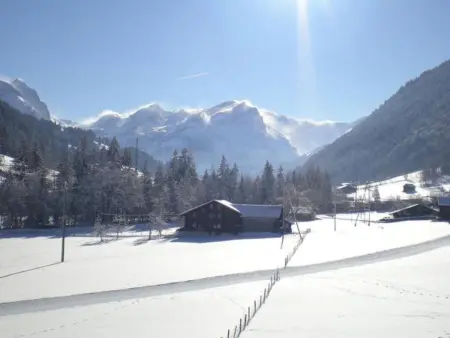 Farfalla, Appartement 4 personnes à Gstaad - Photo 5