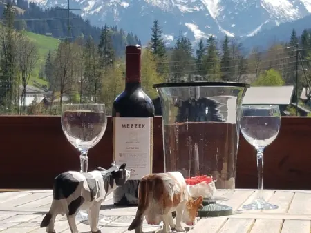 Farfalla, Appartement 4 personnes à Gstaad - Photo 13