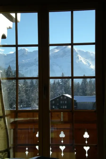 Farfalla, Appartement 4 personnes à Gstaad - Photo 18