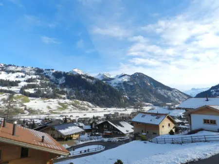 Gletscherblick, Chalet, Appartement 10 personnes à Zweisimmen - Photo 4