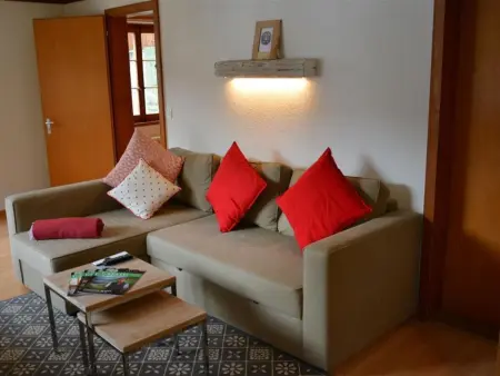 Oehrli, Appartement 3 personnes à Gstaad - Photo 4