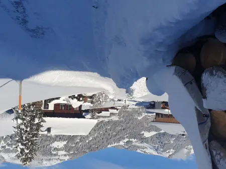 Aerneli, Chalet, Appartement 6 personnes à Gstaad - Photo 9
