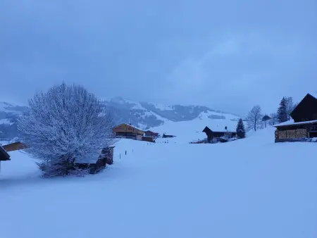 Aerneli, Chalet, Appartement 6 personnes à Gstaad - Photo 10