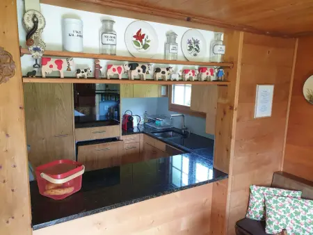 Aerneli, Chalet, Appartement 6 personnes à Gstaad - Photo 20