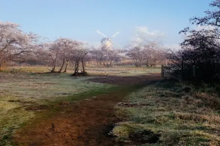 Miami - 0002, Appartement 4 personnes à Koksijde - Photo 22