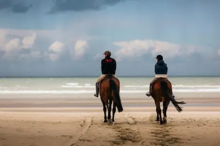 Miami - 0002, Appartement 4 personnes à Koksijde - Photo 25