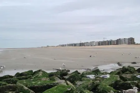 Miami - 0002, Appartement 4 personnes à Koksijde - Photo 28