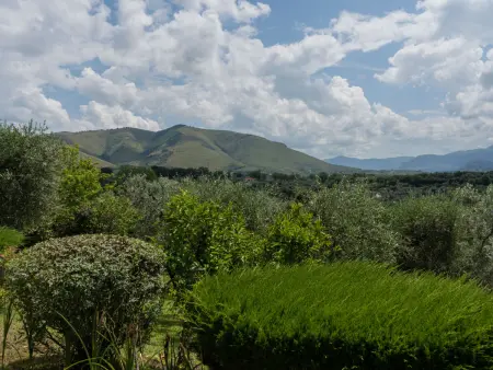 Olive Grove Sabina, Maison 6 personnes à Castelnuovo di Farfa - Photo 3