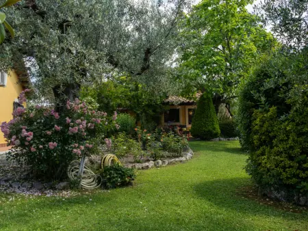 Olive Grove Sabina, Maison 6 personnes à Castelnuovo di Farfa - Photo 26