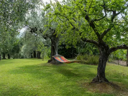 Olive Grove Sabina, Maison 6 personnes à Castelnuovo di Farfa - Photo 38