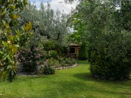 Olive Grove Sabina, Maison 6 personnes à Castelnuovo di Farfa - Photo 42
