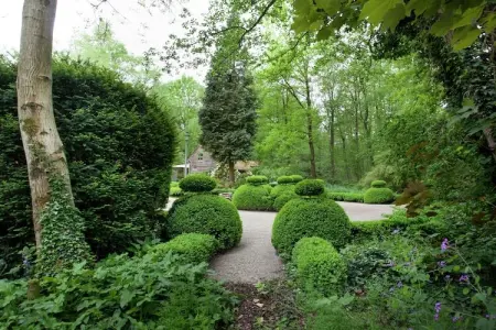 De Wijerschans, Chalet de pêche, Opglabbeek - Photo 5