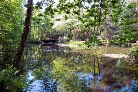 De Wijerschans, Chalet de pêche, Opglabbeek - Photo 10