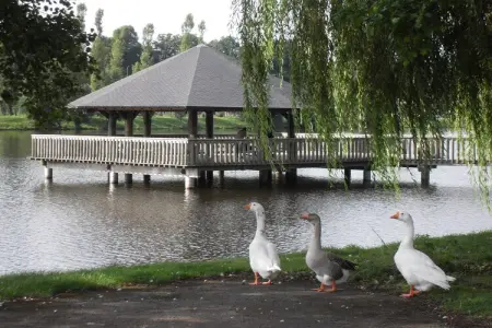 Les Cherbins, Séjour avec vue sur le lac à Vielsalm - Photo 28
