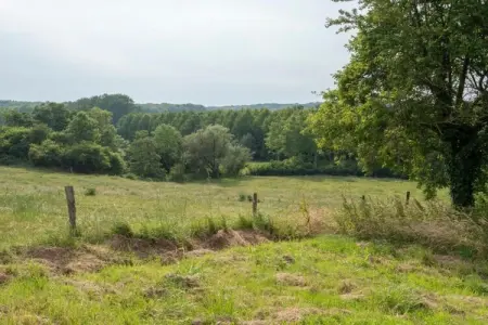 Les Tropiques, Maison spacieuse avec jeux - Photo 27