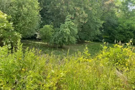Les Tropiques, Maison spacieuse avec jeux - Photo 31