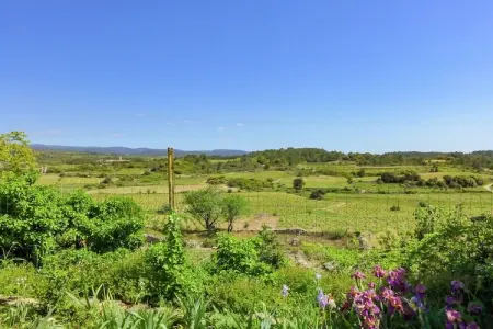 Maison de vacances - LA CAUNETTE, Maison à La Caunette avec Piscine - Photo 6
