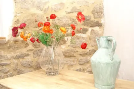 Maison de vacances - LA CAUNETTE, Maison à La Caunette avec Piscine - Photo 39
