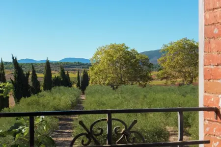 Maison de vacances - MURVIEL-LES-BEZIERS, Maison à Murviel avec jardin français - Photo 26
