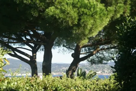 Villa Saint Tropez, Maison à Var près des Plages & Piscine - Photo 22