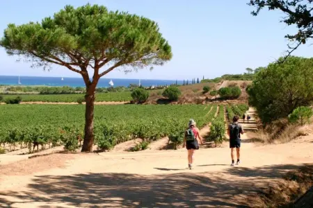 Villa Saint Tropez, Maison à Var près des Plages & Piscine - Photo 35