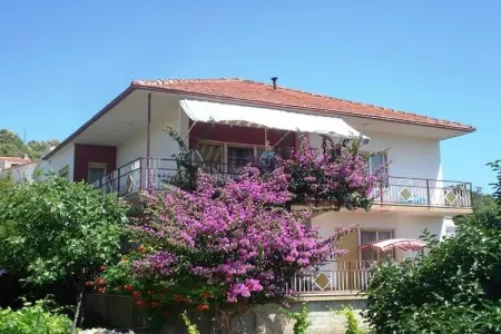 Tatjana, Appartement à Vinisce à 100m de la mer - Photo 19