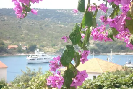 Tatjana, Appartement à Vinisce à 100m de la mer - Photo 30