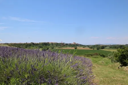 Sughera, Ferme à Montalto proche plage - Photo 26