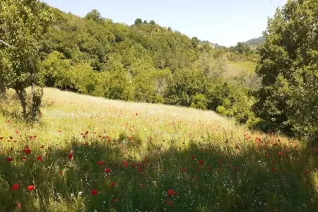 Villa Valtopina, Escapade spacieuse à la campagne - Photo 26