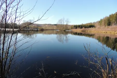 Domaine du Pichoux, Escapade au bord du lac à Bouillon - Photo 43