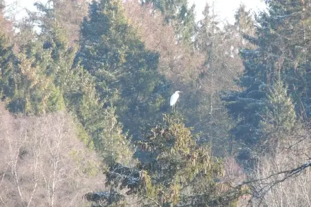 Domaine du Pichoux, Escapade au bord du lac à Bouillon - Photo 45