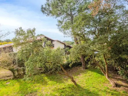 Pyrénées, Appartement 4 personnes à Seignosse - Photo 4