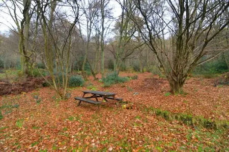 Le 51, Gîte à Aywaille avec jardin - Photo 27