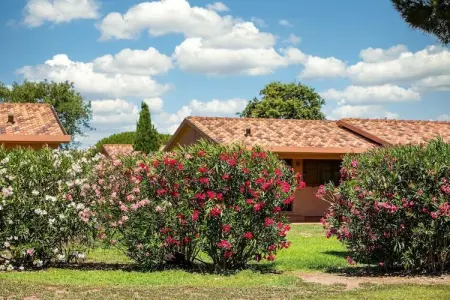 Appartement à Montalto Marina (VT), Gitavillage California 3-Zi-Lodge Superior Veranda 24 qm - L1074007