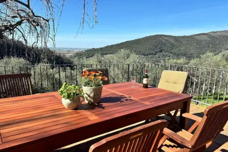 Maison à Vicopisano, Tenuta del Serra - L1074011