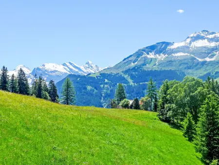 Tschingelhorn Apt. R, Appartement 5 personnes à Wengen - Photo 26